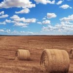 Two Farmers on the Road